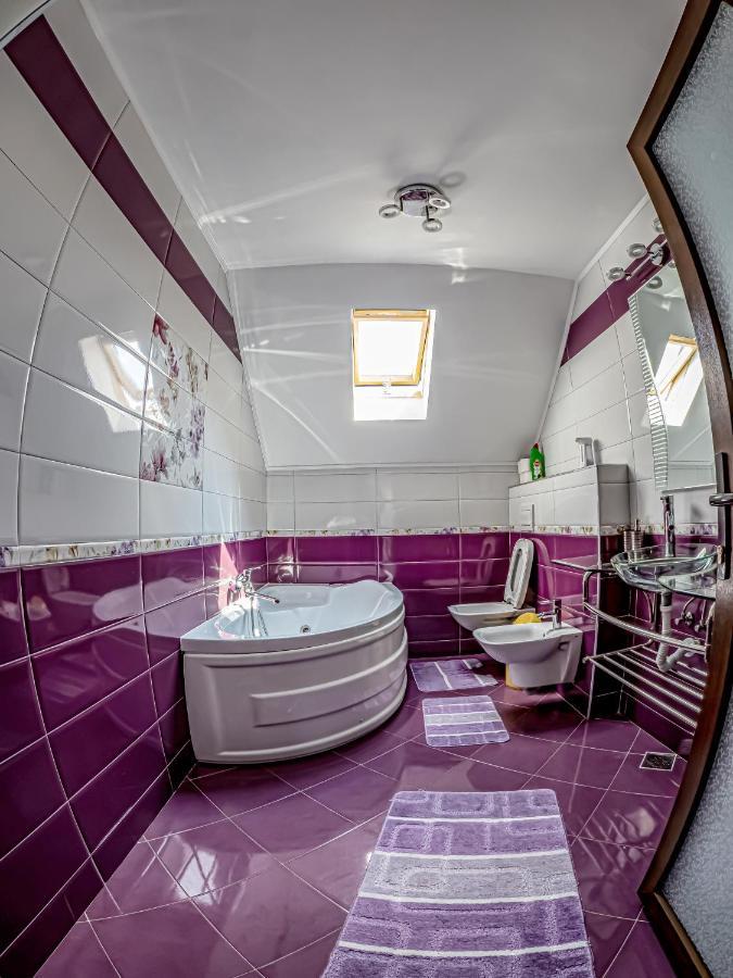 Casa Iulia Villa Pojorîta Екстериор снимка